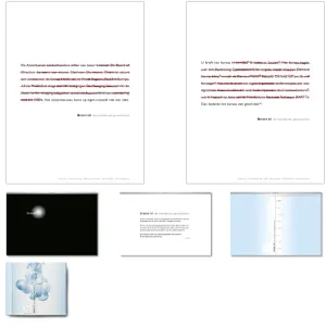 2005_133.webp