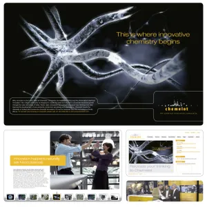 2006_24.webp