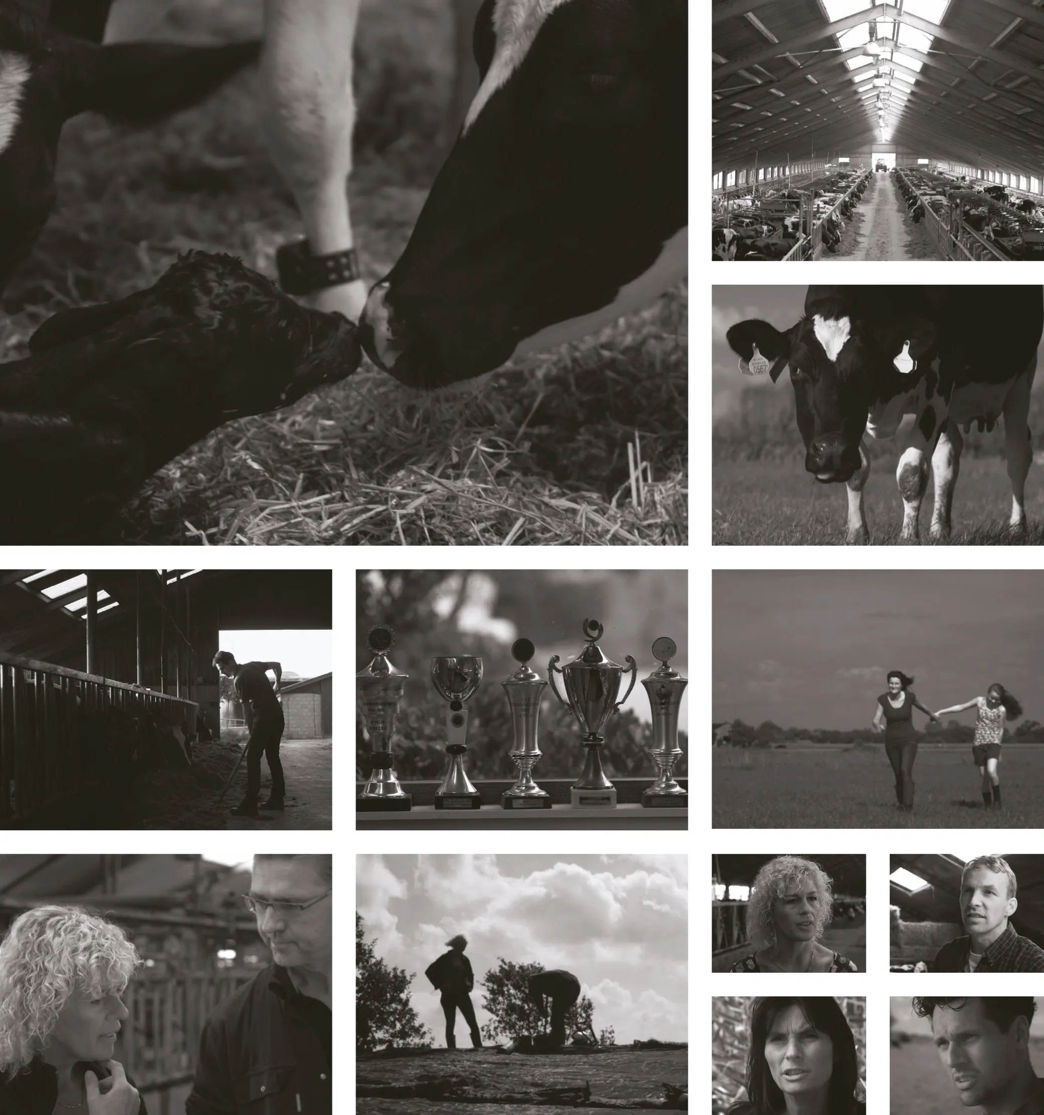 2012_93.webp