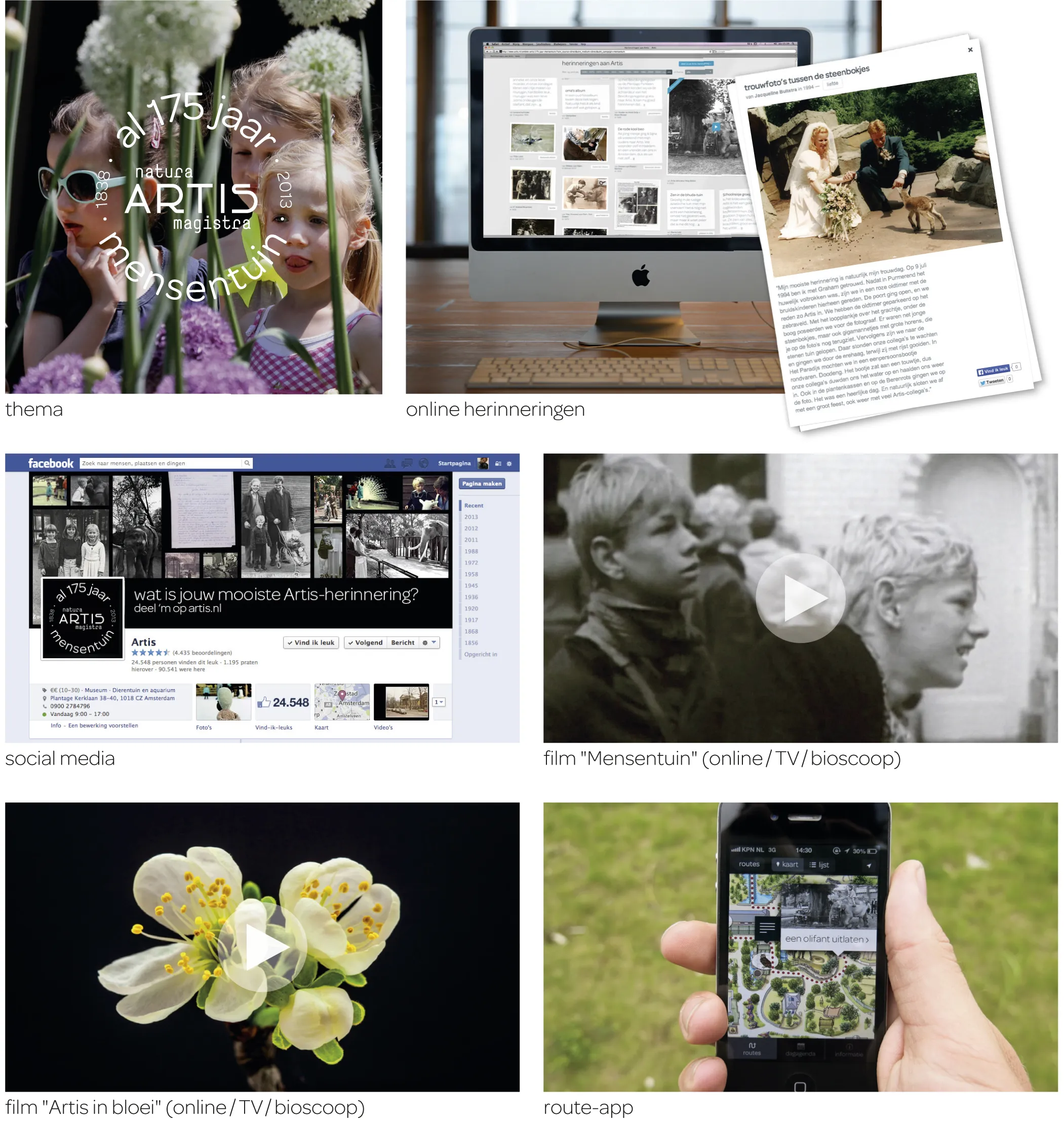 2013_430.webp
