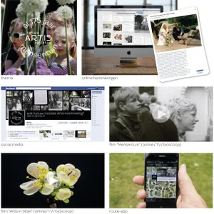 2013_430.webp