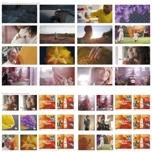 2019_202.webp