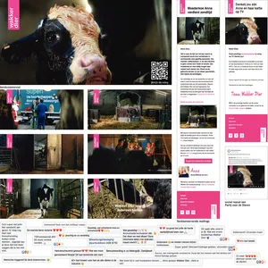 2023_78.webp